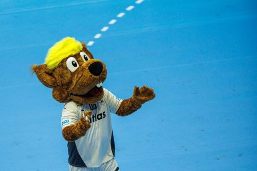 Handball Nationalmannschaft Saison 25/26 - © Sportfoto-Sale (MK)