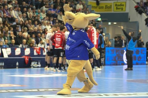 VfL Gummersbach Saison 25/26 - © Sportfoto-Sale (MK)