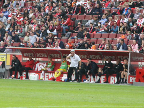 1. FC Köln - VFL Bochum