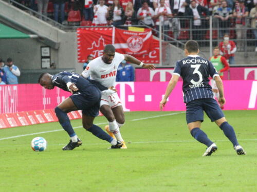 1. FC Köln - VFL Bochum