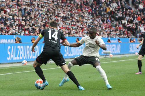 Bayer 04 Leverkusen - 1. FC Köln