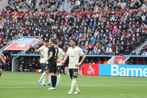 Bayer 04 Leverkusen - 1. FC Köln
